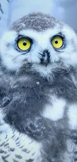 Snowy owl with striking yellow eyes in a grayish background.