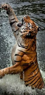 Tiger leaping in water with splashes on mobile wallpaper.