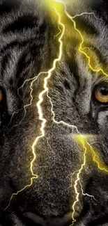 Dynamic tiger with lightning eyes wallpaper.