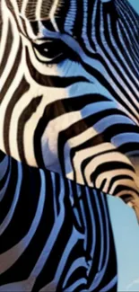 Close-up of a zebra with bold stripes and a light blue sky background.