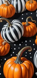 Striped and orange pumpkins on black background.