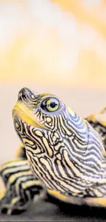 Close-up of a striped turtle with detailed patterns, ideal for mobile wallpaper.