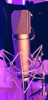 Vibrant studio microphone with purple glow.