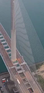 Aerial view of a modern cable-stayed bridge over calm waters in evening light.