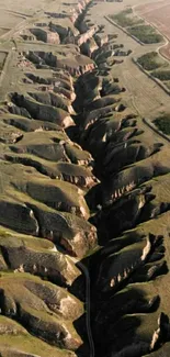 Aerial view of a stunning canyon landscape with deep ravines.