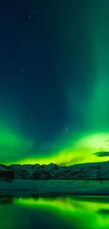 Aurora Borealis lighting up a snow-covered landscape.