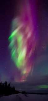 Vibrant aurora borealis with purple, green, and blue hues under a starry sky.