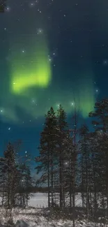 Vivid aurora borealis over a snowy forest under a dark blue night sky.