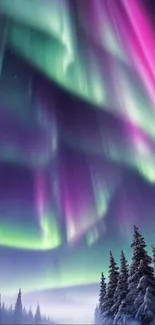 Vibrant northern lights display over snowy forest.