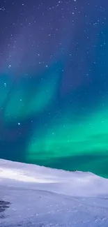 Aurora Borealis lights in the night sky over snowy landscape.