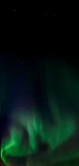 Vivid green aurora borealis illuminating a dark, starry sky.