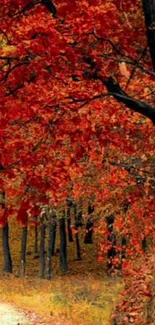 Vibrant red and orange autumn forest path wallpaper for mobile device.