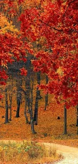 Vibrant autumn forest with red leaves and a winding path.