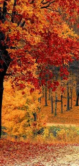 Colorful autumn forest with vibrant leaves.