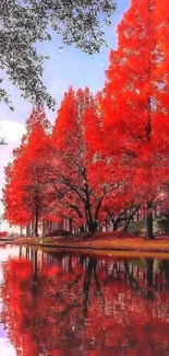 Mobile wallpaper of vibrant red autumn trees reflected on a calm stream.