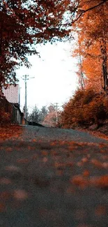 Serene autumn road with rich orange trees and foliage.