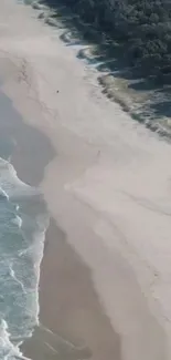 Aerial view of a tranquil beach with golden sand and gentle waves.