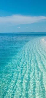 Stunning beach wallpaper with clear ocean and blue sky.