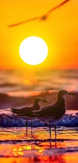 Silhouetted seagulls during vibrant sunset over the ocean waves.