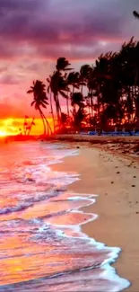 Beach at sunset with vibrant colors and palm trees.
