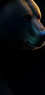 Majestic bear portrait in rich, dark tones for mobile wallpaper.