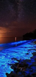 Bioluminescent beach under a starry night sky.