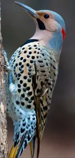 Vibrant bird perched on tree trunk with blurred background.