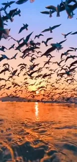 Majestic flock of birds flying at sunset over a tranquil orange sea.