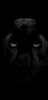 Black panther with piercing green eyes on a dark background wallpaper.