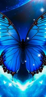 A vibrant blue butterfly with cosmic background on mobile wallpaper.