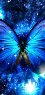 Blue butterfly fantasy wallpaper with celestial elements.