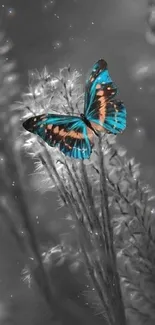 Vibrant blue butterfly against a monochrome background, perfect for mobile wallpaper.