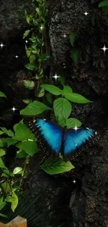 Blue butterfly with green foliage background.