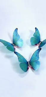 Blue butterflies flying elegantly on a soft white background.