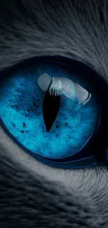 Close-up image of a blue cat eye with vivid details.