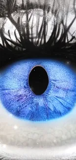 Close-up of a vibrant blue eye with detailed iris and eyelashes.