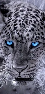 A striking leopard with blue eyes in an artistic mobile wallpaper.