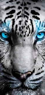 White tiger with blue eyes in a striking mobile wallpaper.