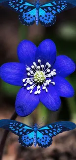 Blue flower with butterflies in a natural setting