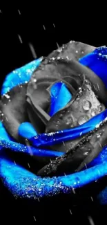 Close-up of a stunning blue rose with water droplets on petals.