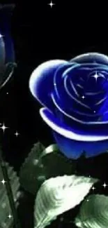 Elegant blue rose art against a dark backdrop, perfect for mobile phone wallpaper.