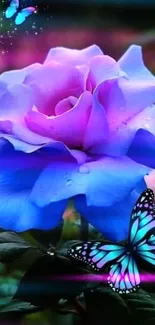 Blue and purple rose with butterflies design wallpaper.