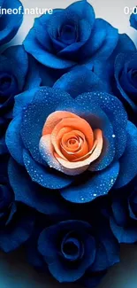 Bright blue roses with central orange bloom.