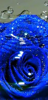 Blue rose with dewdrops on petals, creating an elegant wallpaper.