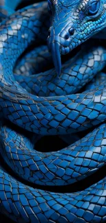 Close-up of a detailed blue snake coiled intricately.