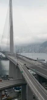 Majestic bridge over a river with city skyline in background and cloudy sky.