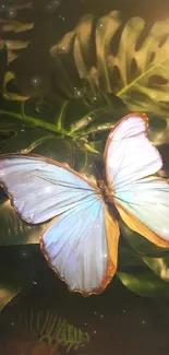 Blue butterfly on green leaves wallpaper for phones.