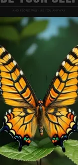 Vibrant butterfly on leaves with 'Be Yourself' message.