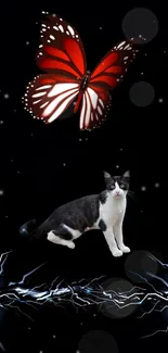 Artistic wallpaper with a red butterfly and a black and white cat.