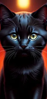 Black cat with glowing eyes against a vibrant orange background.